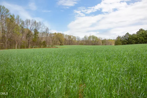 a view of field with tall trees