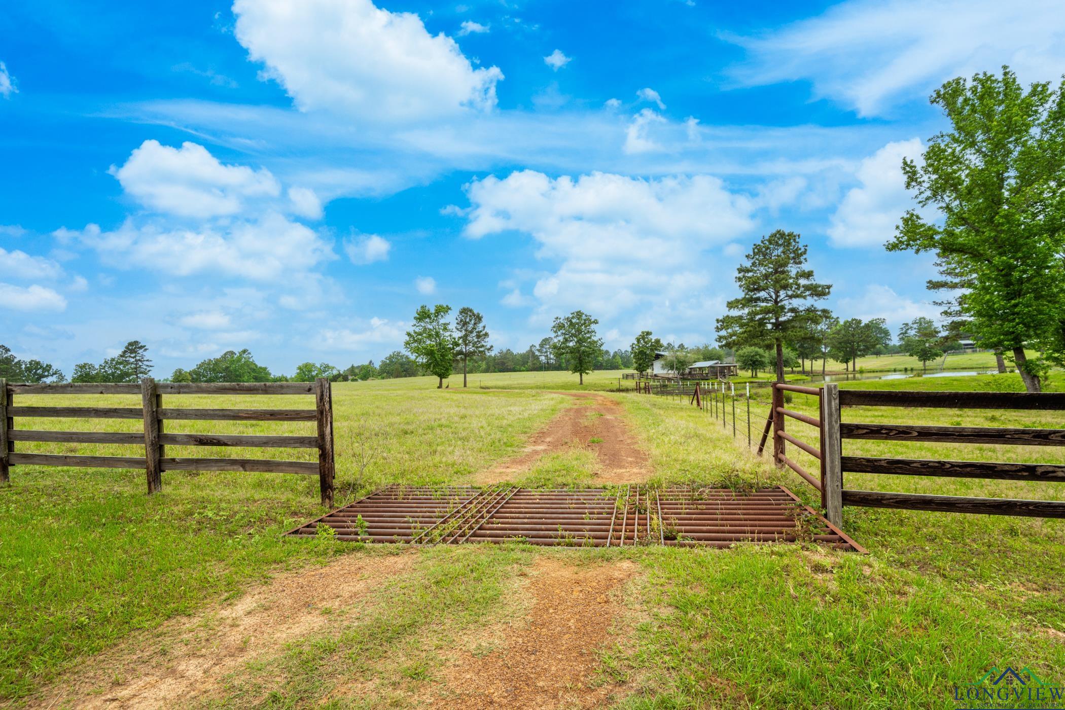 1117 Jonquil Road Gilmer, TX 75645 - Photo 25 of 36 Gallery Image 25