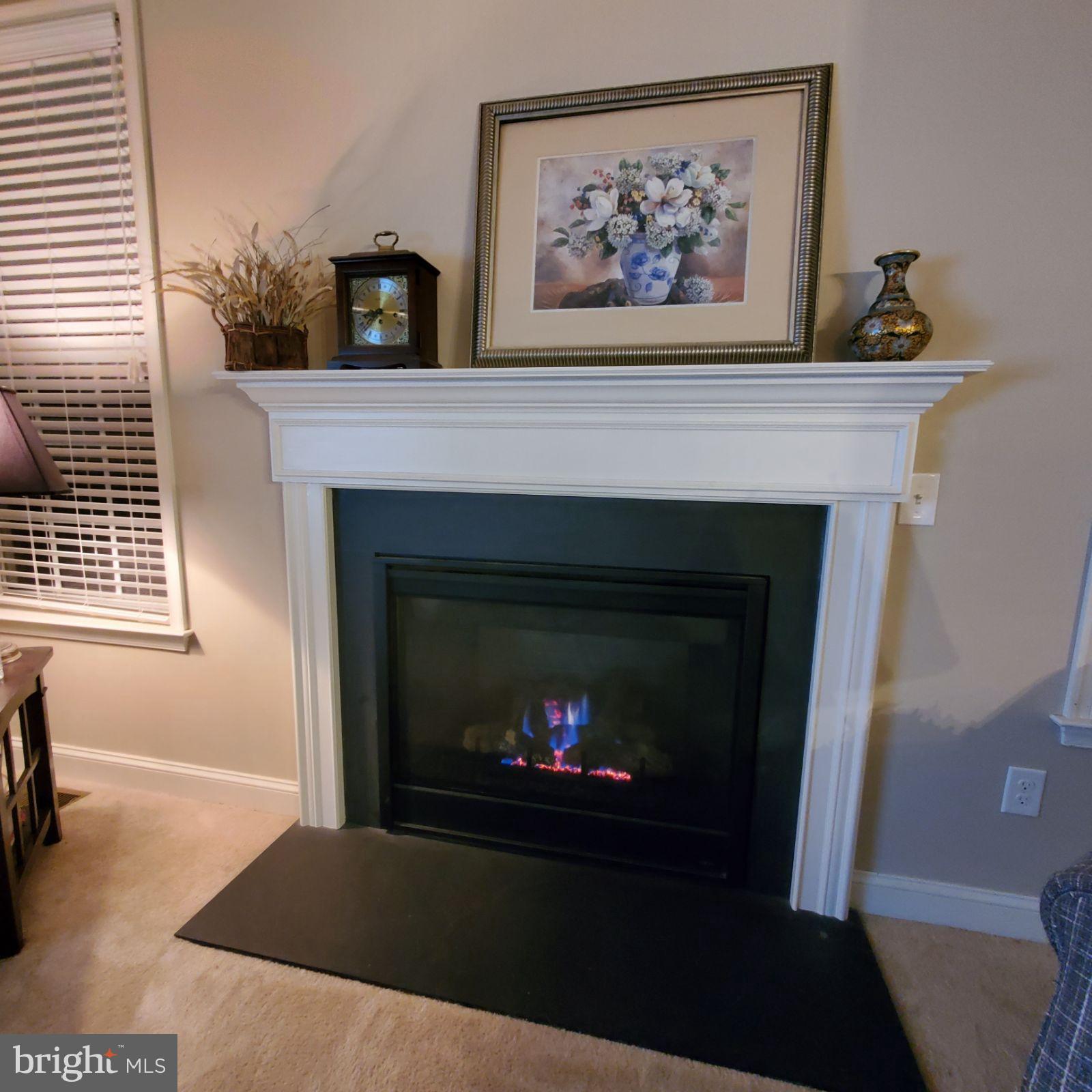 14 Taft Court Hainesport, NJ 08036 - Photo 5 of 47 Gas fireplace for your comfort and enjoyment