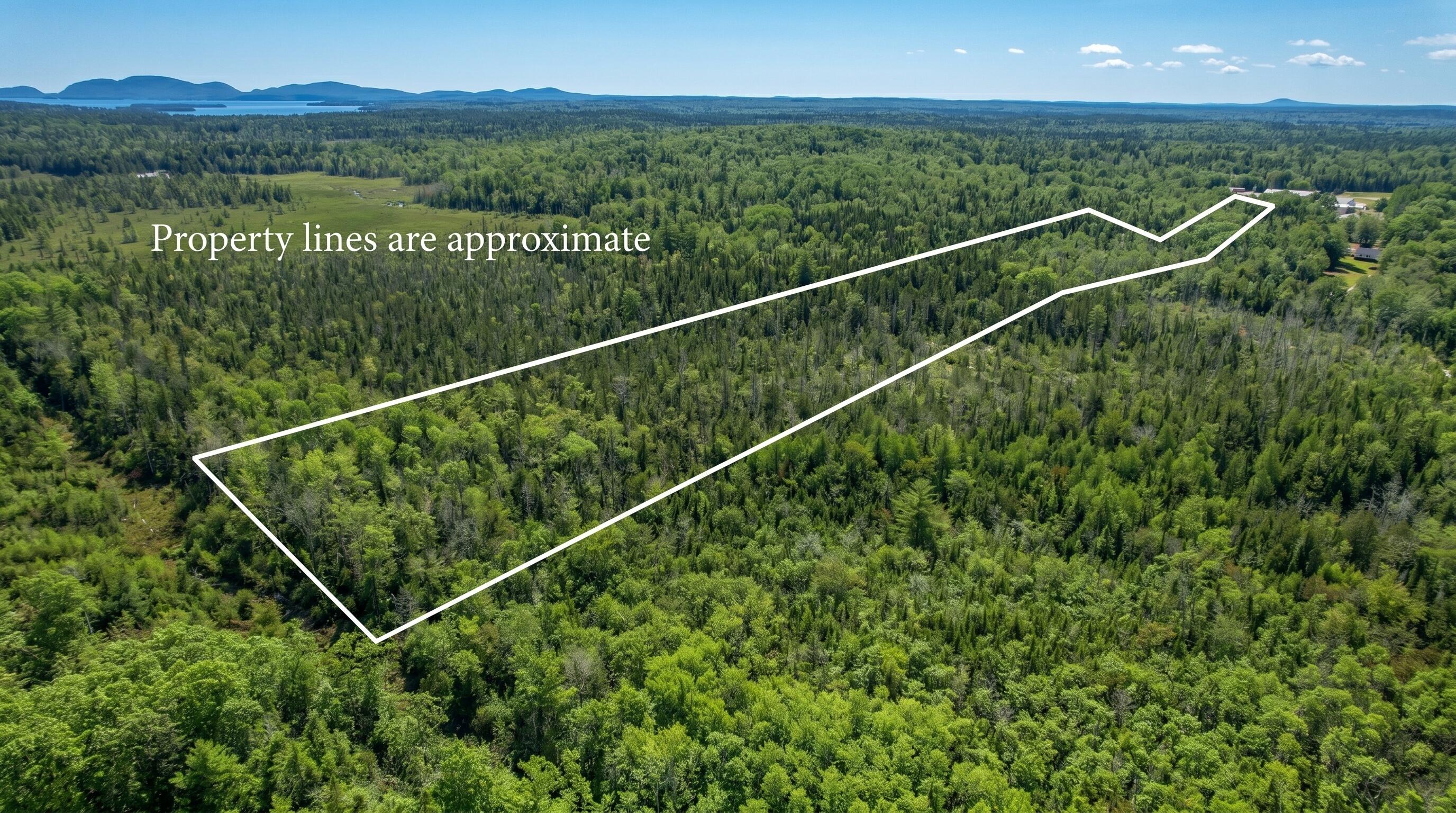 535 Bert Gray Road Sullivan, ME 04664 - Photo 4 of 15
