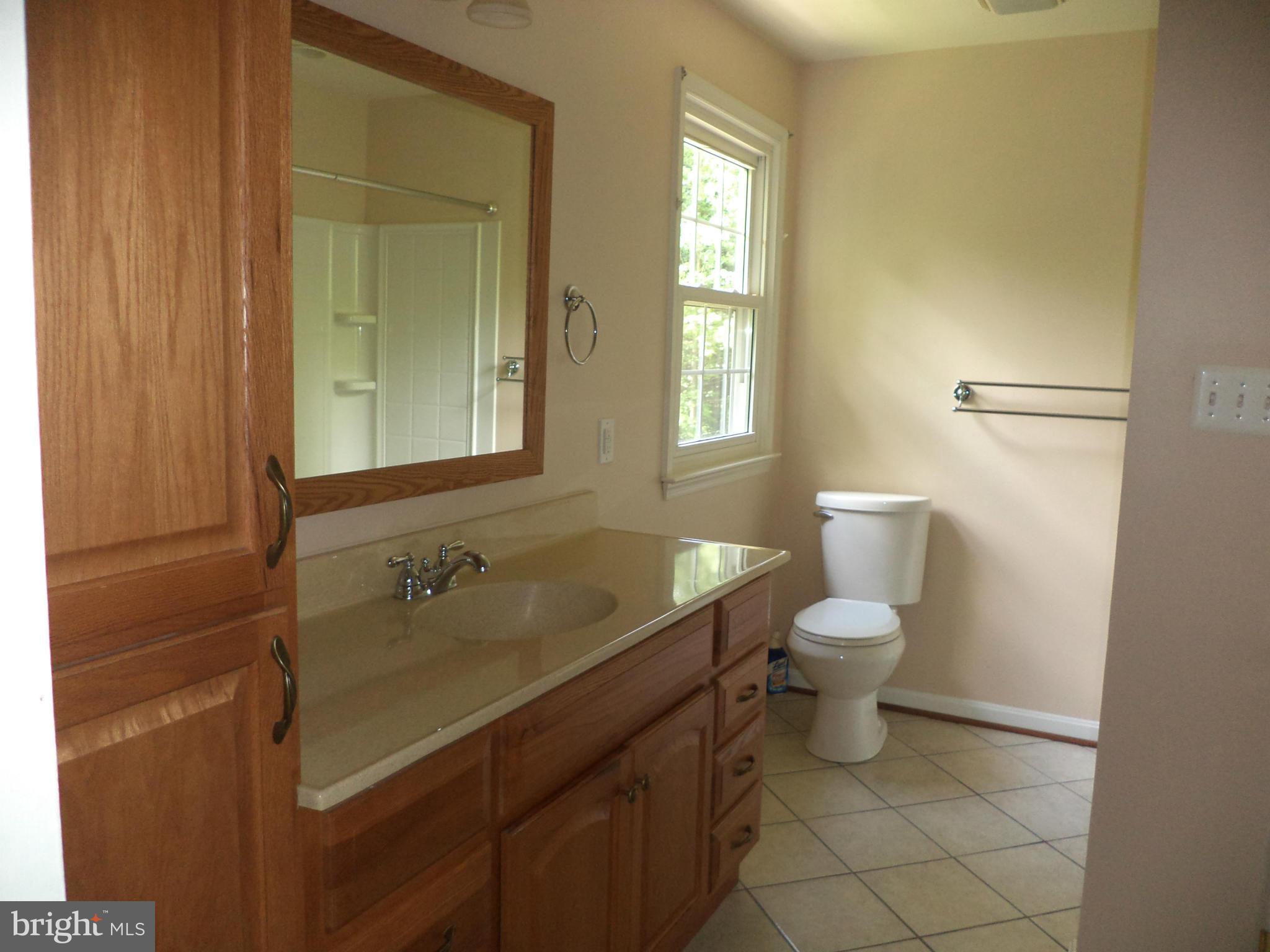 511 Clarks Run Road La Plata, MD 20646 - Photo 12 of 28 Bath (Master)