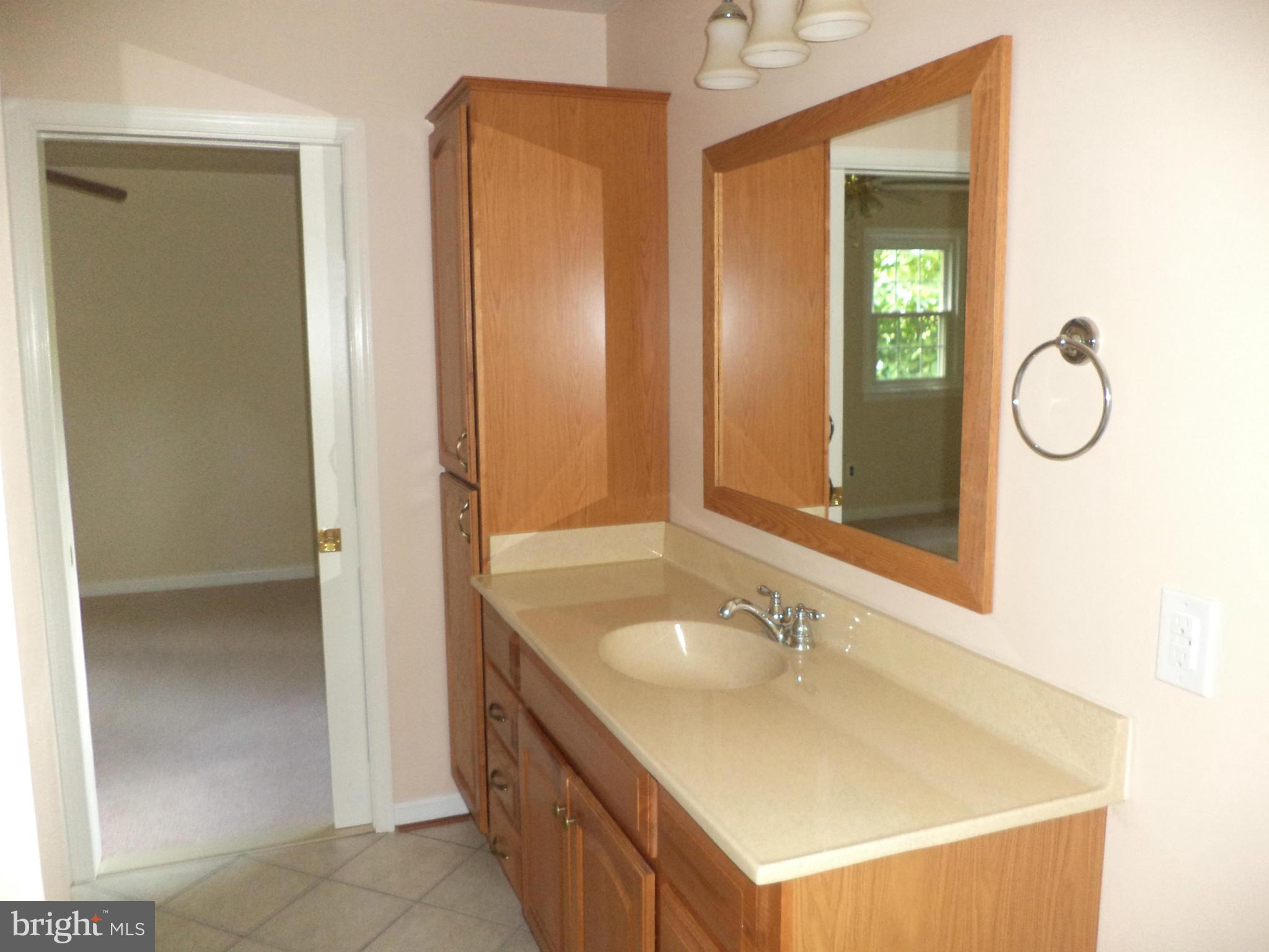 511 Clarks Run Road La Plata, MD 20646 - Photo 13 of 28 Bath (Master)
