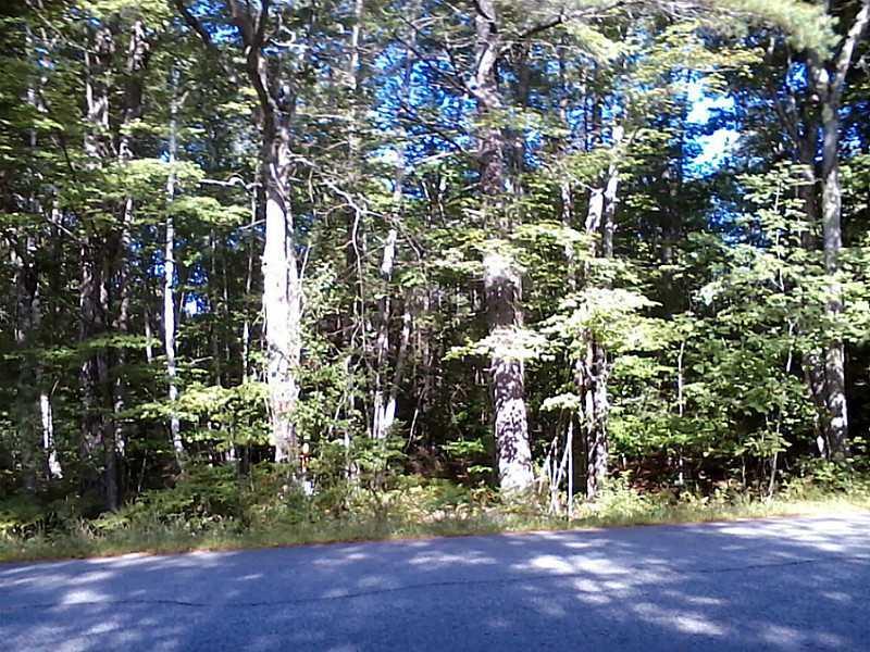 Lot 3.06 Lewis Road Naples, ME 04055 - Photo 7 of 8 Land/Lot.
