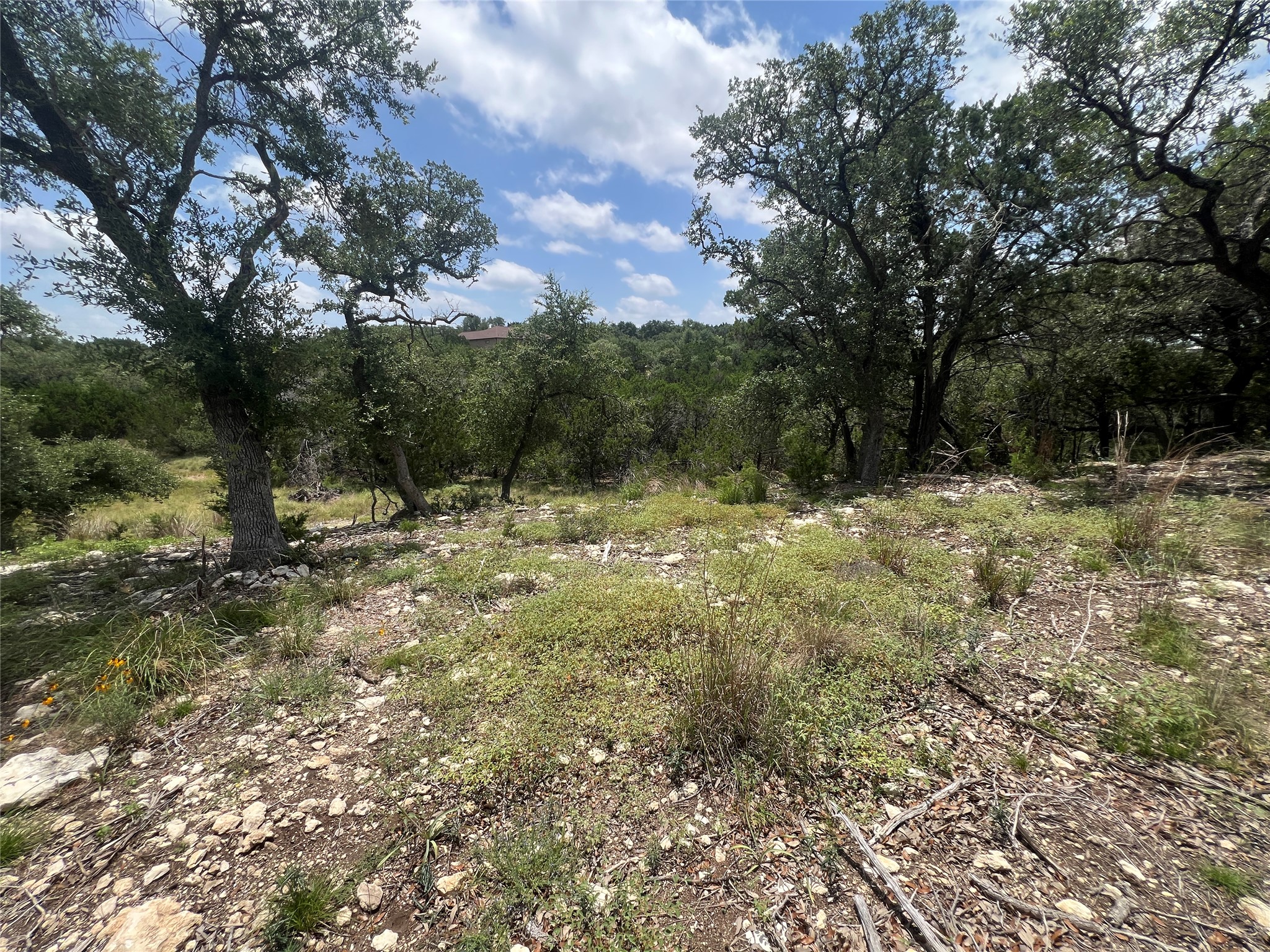 1252 Parton Road Canyon Lake, TX 78133 - Photo 3 of 11