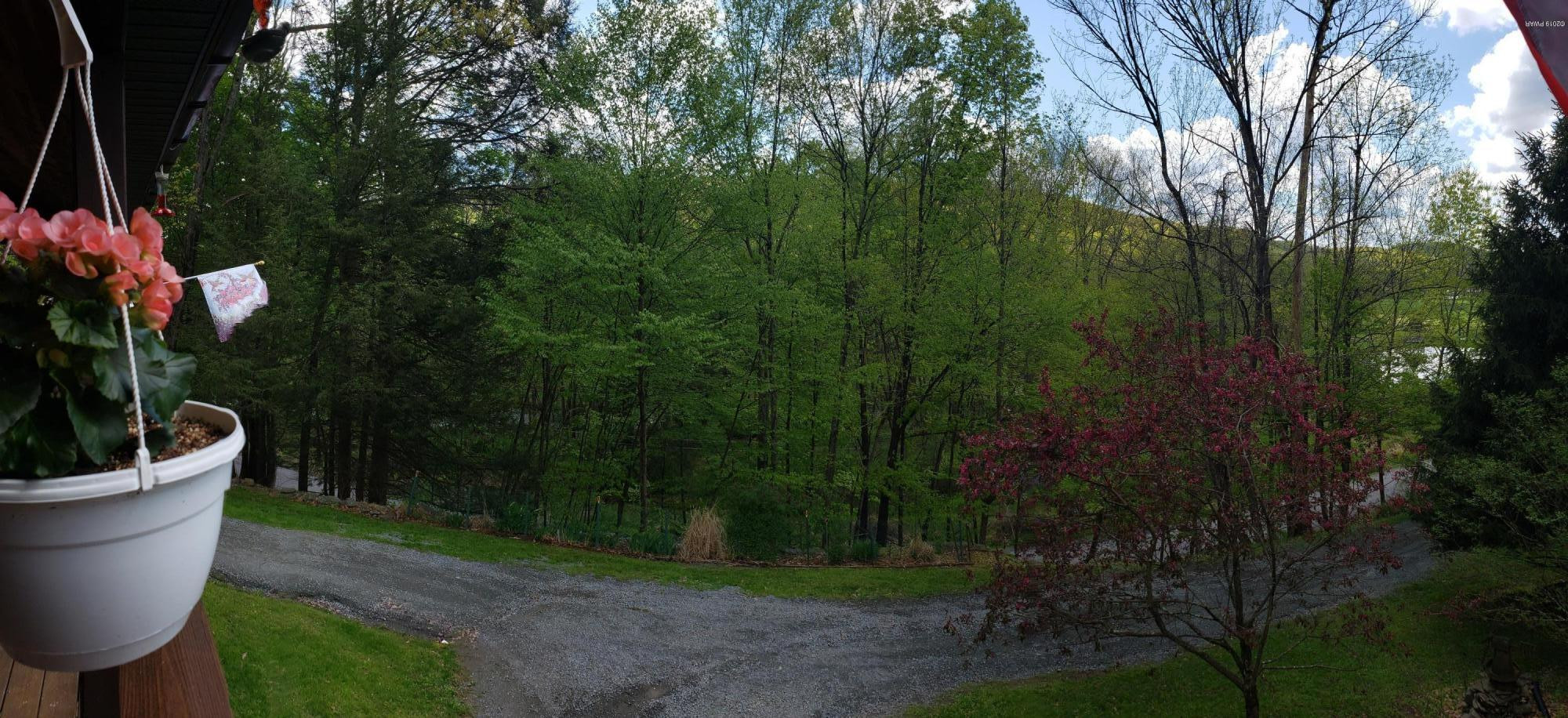 2419 River Road Damascus, PA 18415 - Photo 40 of 46 20190516_111835 (1)