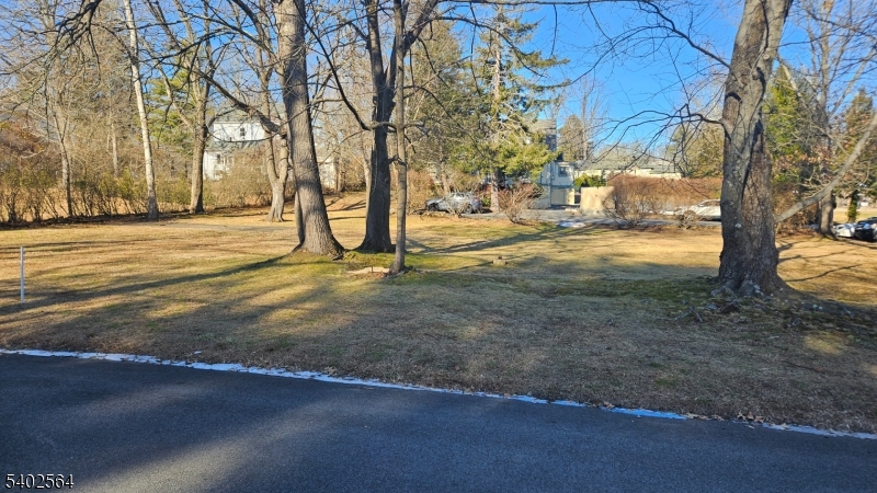 8-09 Castle Place Gillette, NJ 07933 - Photo 5 of 7 a view of road with large trees