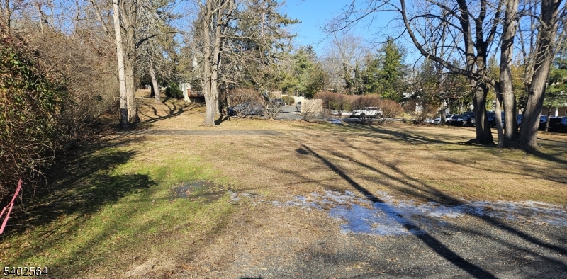 8-09 Castle Place Gillette, NJ 07933 - Photo 6 of 7 a view of road with trees