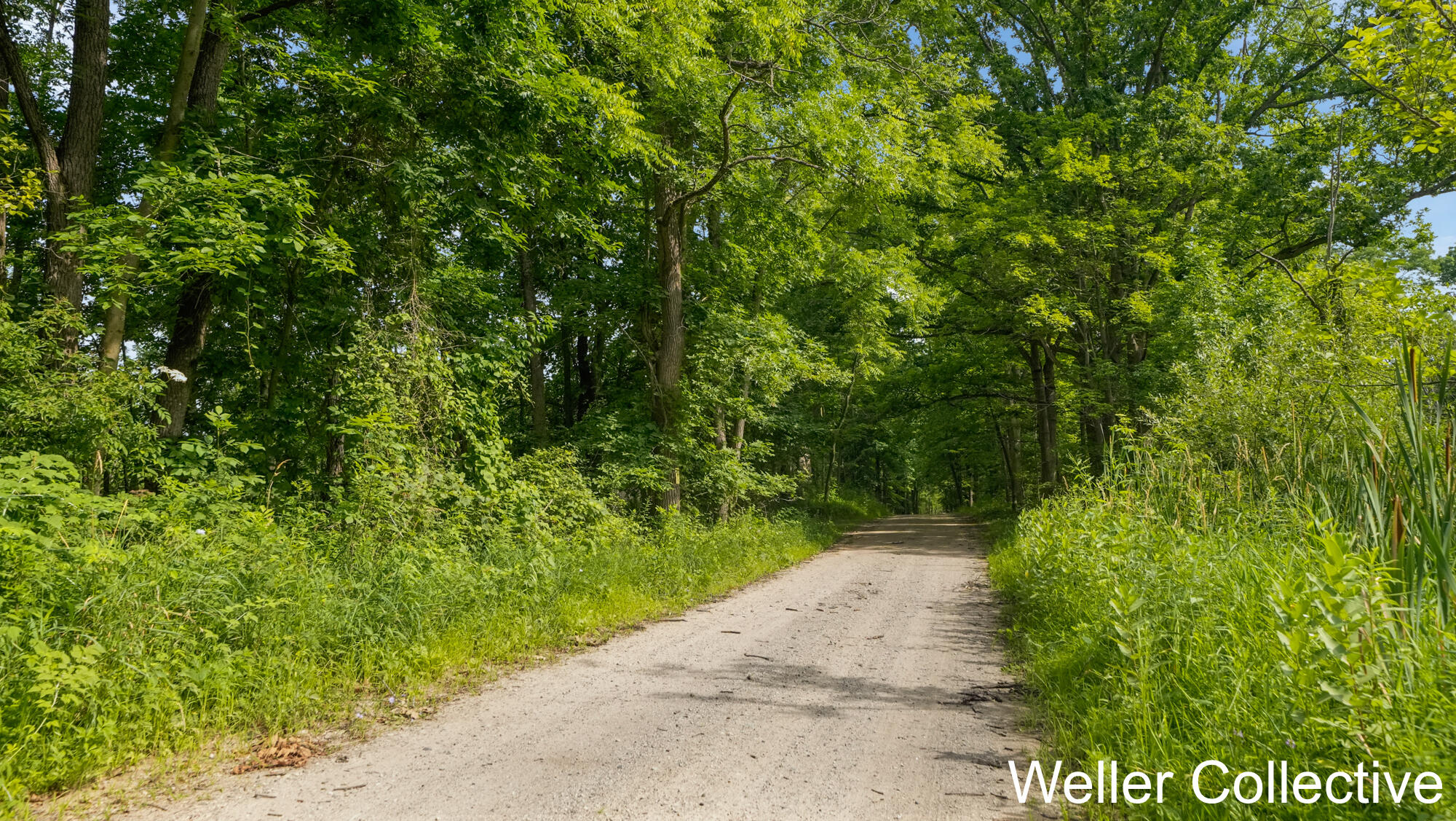 13399 Wing Road Bellevue, MI 49021 - Photo 60 of 77 _CR_3579