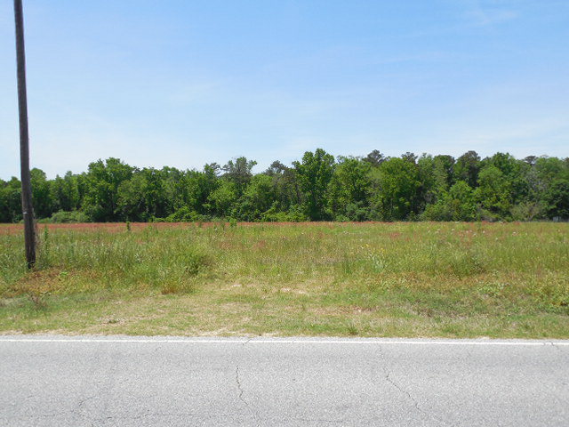 203 Rehobeth Al Dothan, AL 36301 - Photo 1 of 1 Main View