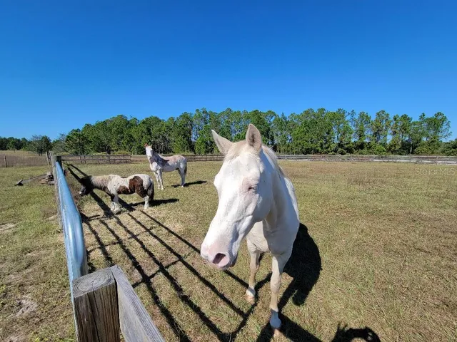 a view of a lake with outdoor space