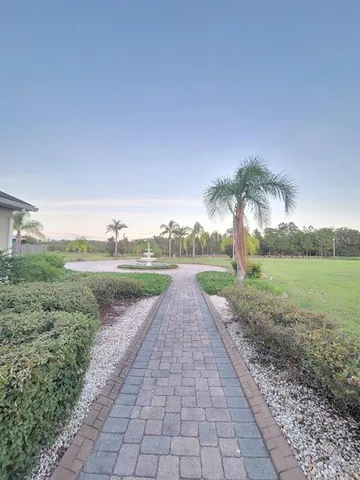a view of a park with large trees and a big yard