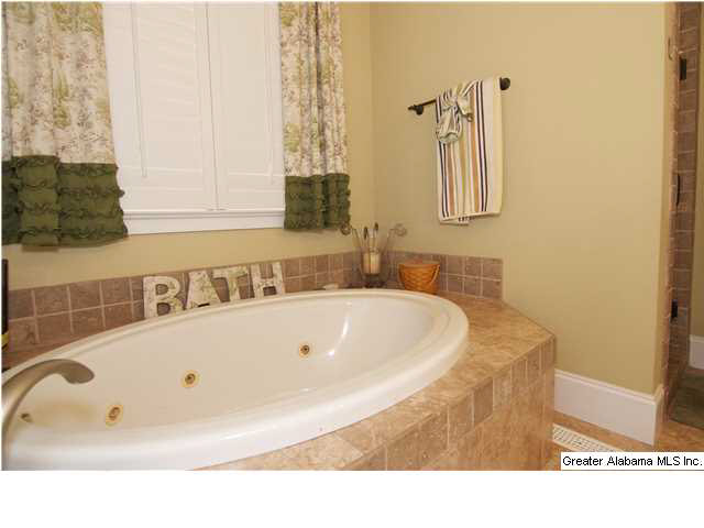 230 Beaver Ridge Circle Ashville, AL 35953 - Photo 12 of 30