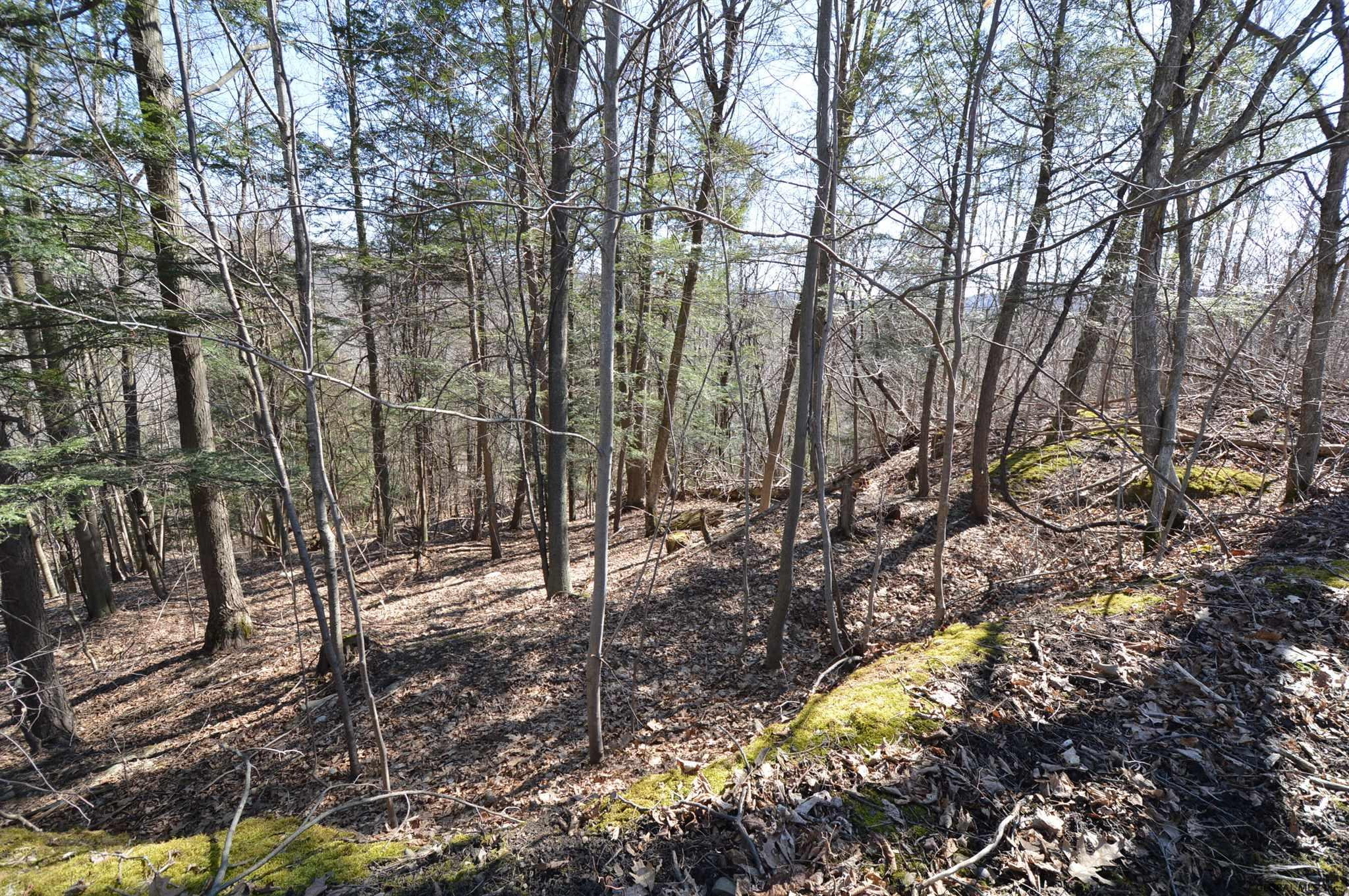 11 Hughes Road Amsterdam, NY 12010 - Photo 13 of 18 Photo 13