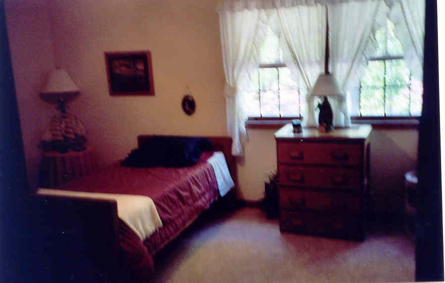 115 Service Road Effort, PA 18330 - Photo 12 of 17 Bedroom 2