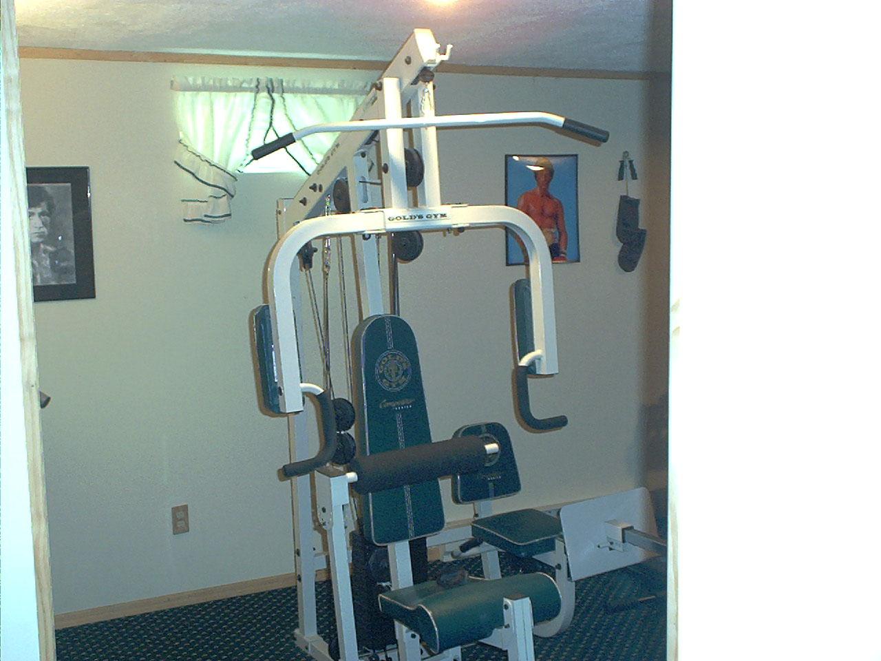 115 Service Road Effort, PA 18330 - Photo 16 of 17 Workout Room