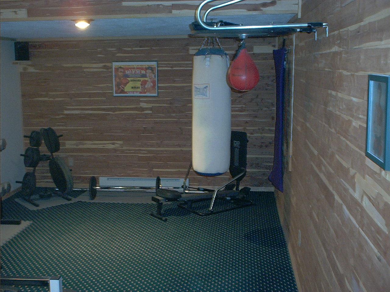 115 Service Road Effort, PA 18330 - Photo 17 of 17 Cedar Workout Room
