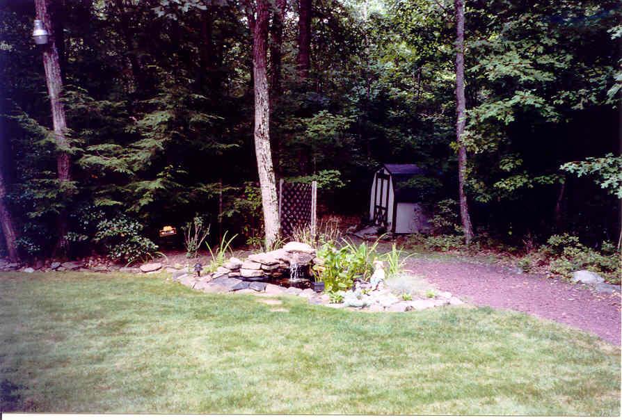 Rear Yard with Pond Feature