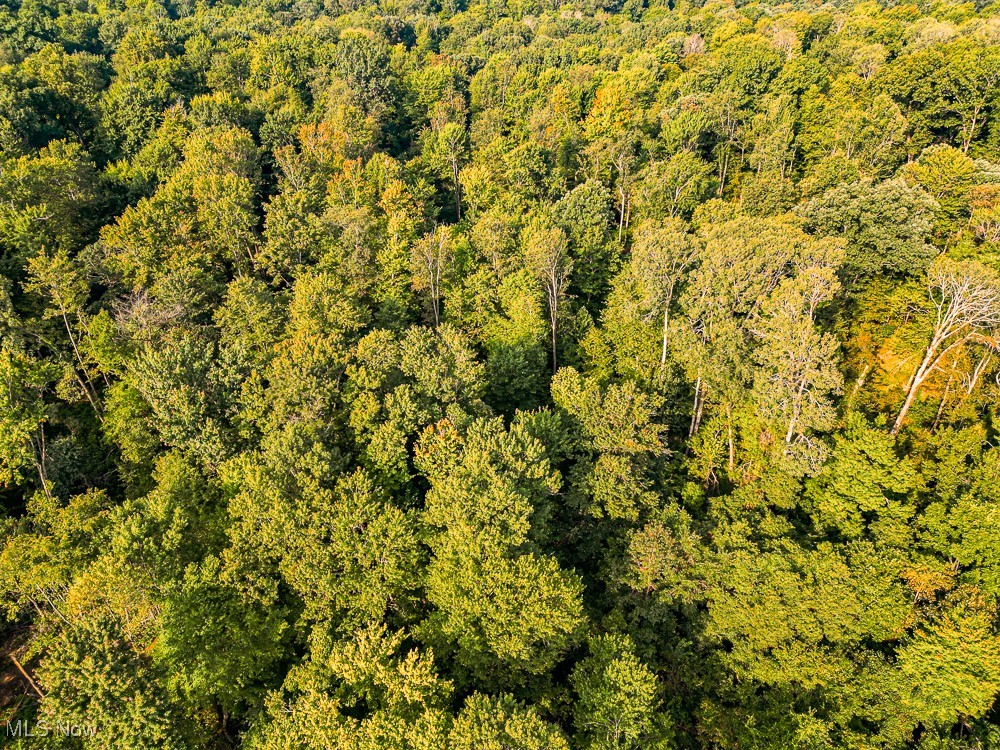 Reef Road Northeast Kensington, OH 44427 - Photo 26 of 27 Aerial view