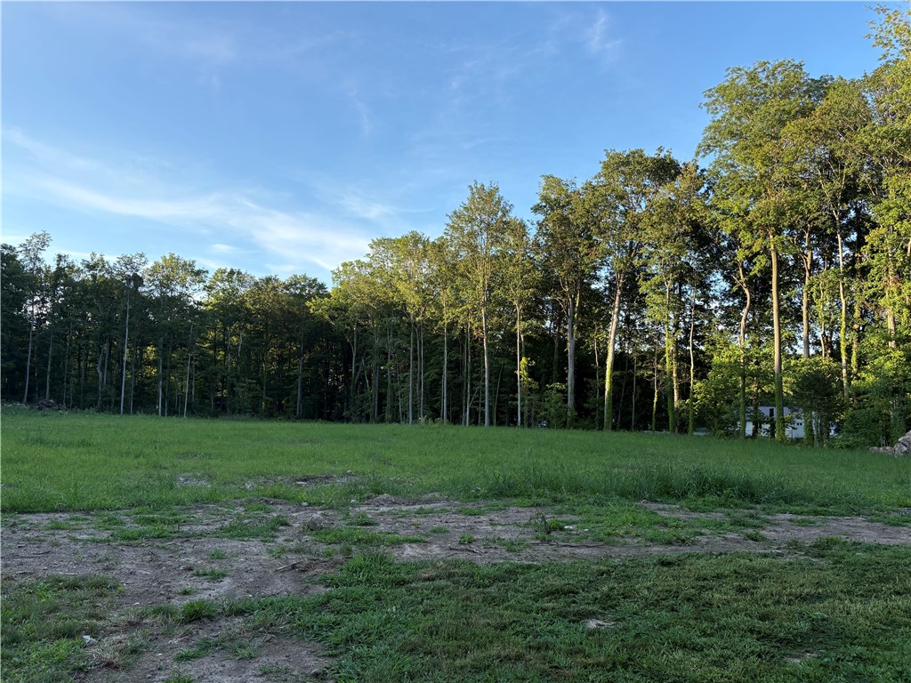 4073 Warner Road Marion, NY 14505 - Photo 32 of 46 Beautiful acrage