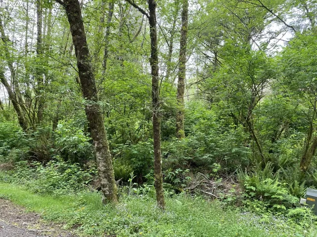 $295,000 | Willowbrook Drive, Unit 2900, Tillamook, OR 97141