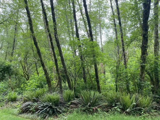 $295,000 | Willowbrook Drive, Unit 2900, Tillamook, OR 97141