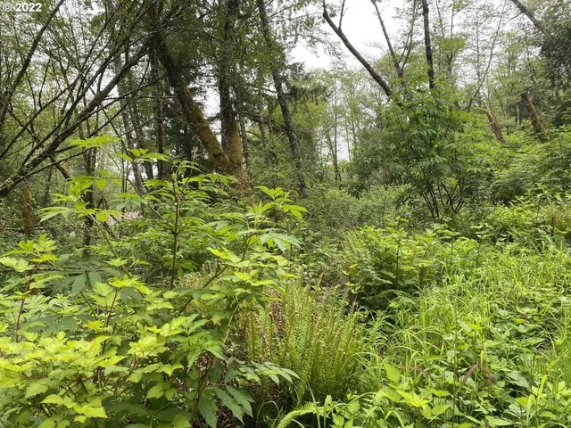 $295,000 | Willowbrook Drive, Unit 2900, Tillamook, OR 97141