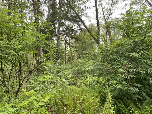 $295,000 | Willowbrook Drive, Unit 2900, Tillamook, OR 97141