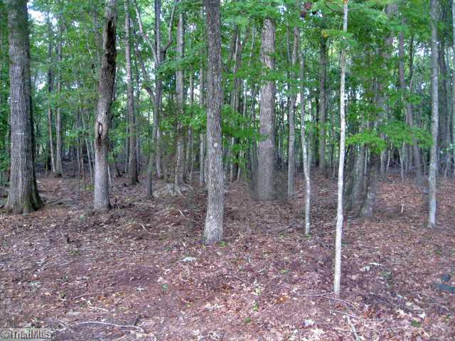 122 Oak Hill Road Advance, NC 27006 - Photo 4 of 16 Land.