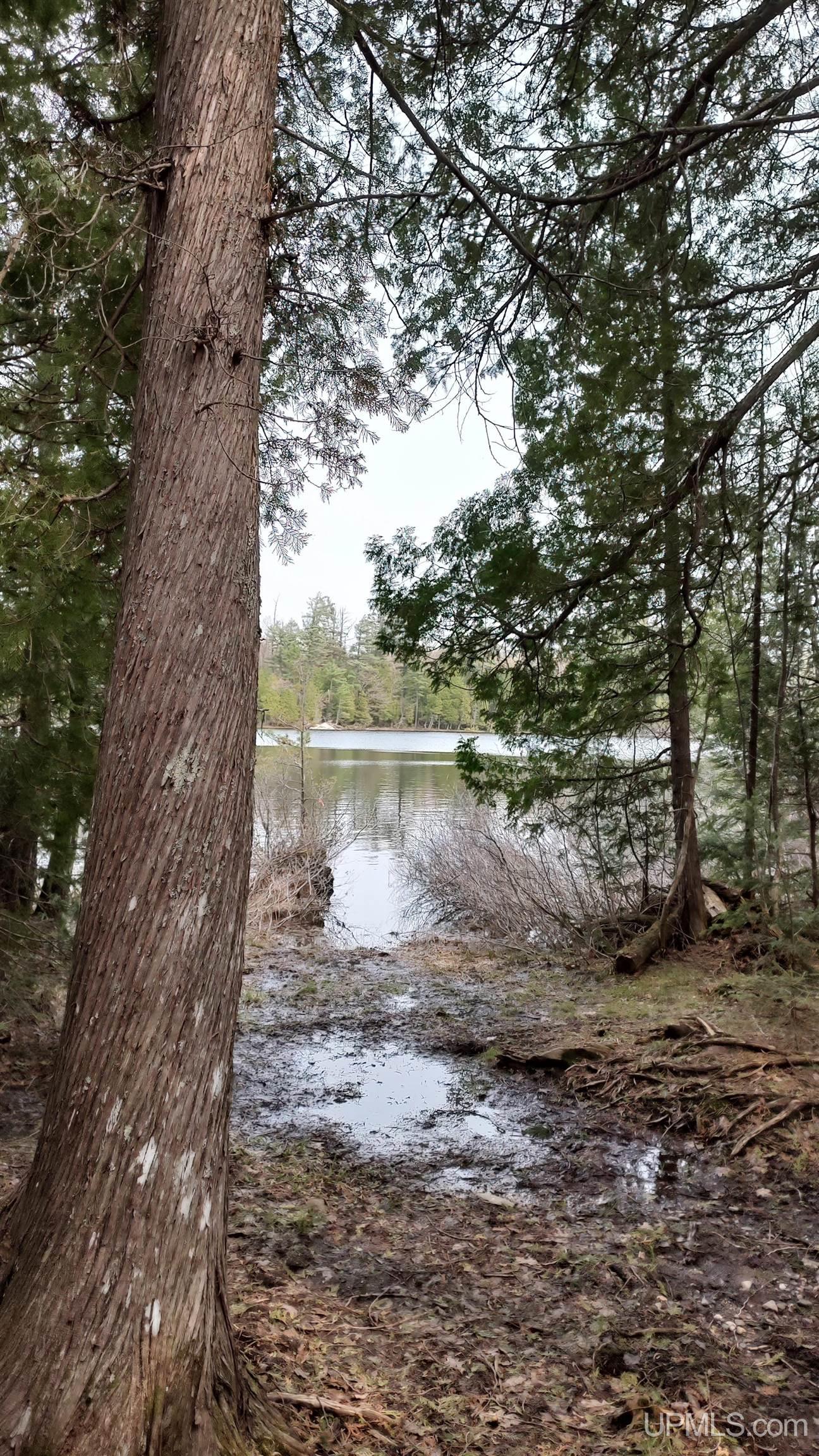 Tbd Tbd Durchman Lake Road Lanse, MI 49946 - Photo 9 of 56