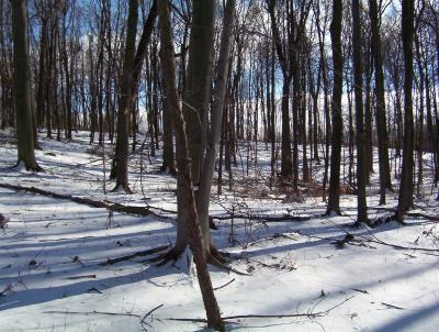 Three Rivers Mi 49093 Road Three Rivers, MI 49093 - Photo 3 of 3 Additional Photo