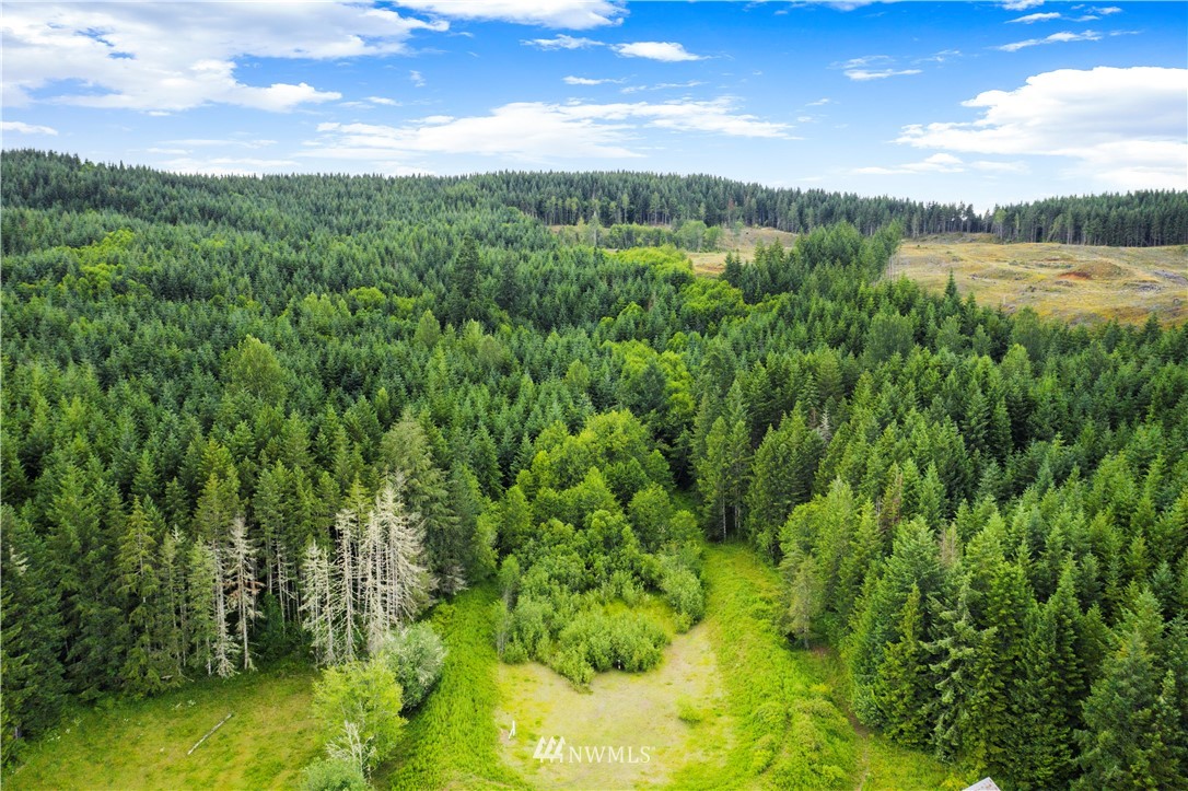 -zzzz Lincoln Creek Road Rochester, WA 98579 - Photo 1 of 2