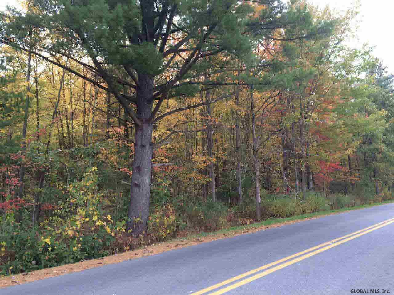 0 Waite Road Hudson Falls, NY 12839 - Photo 1 of 2 Photo 1