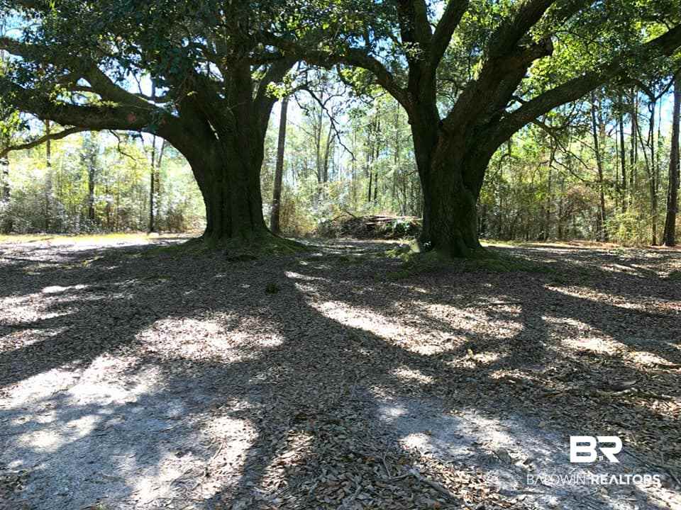 8295 Dixon Road Bay Minette, AL 36507 - Photo 6 of 8 Gallery Image 6