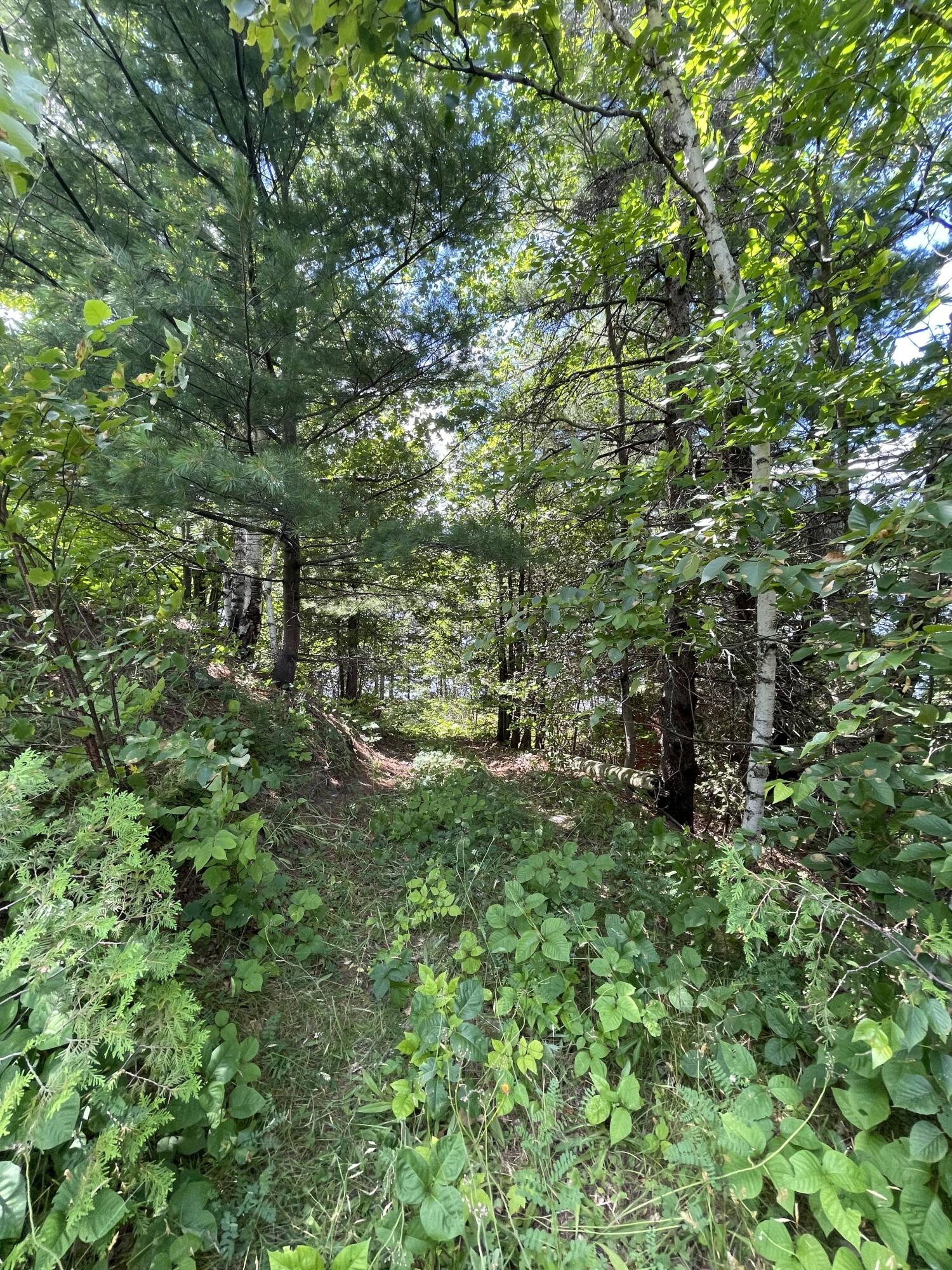 1496 Canada Road Moscow, ME 04920 - Photo 17 of 23 17