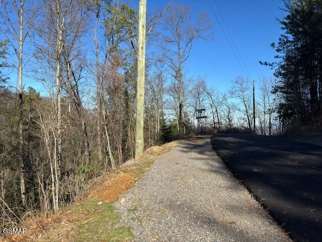 0 Balsam Slopes Road Sevierville, TN 37862 - Photo 3 of 15 Gallery Image 3