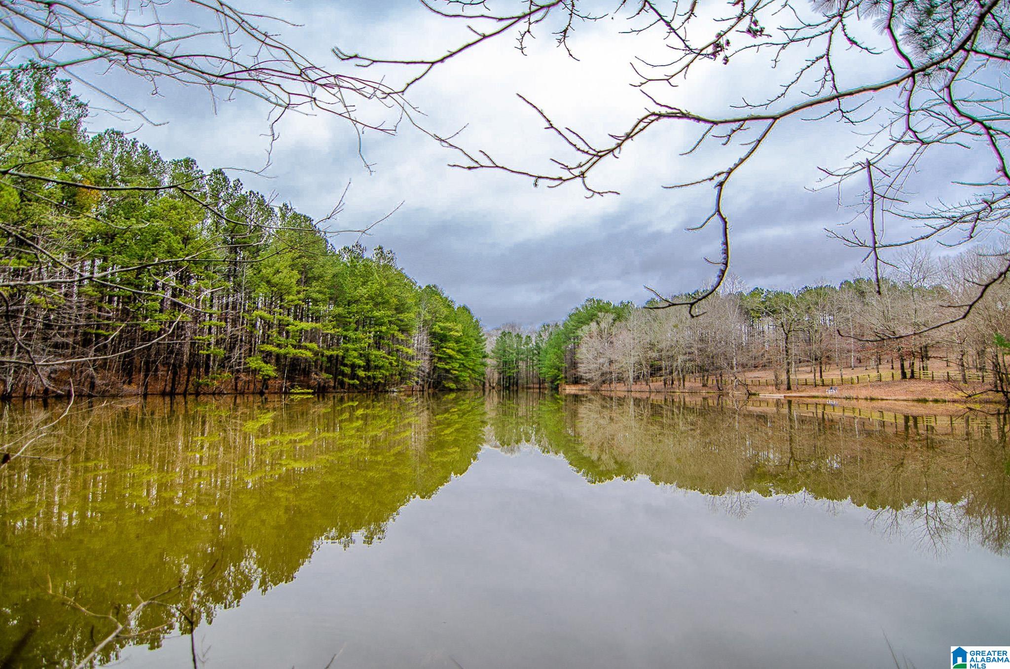 7 High Mesa Circle, Unit 7 Chelsea, AL 35043 - Photo 1 of 14