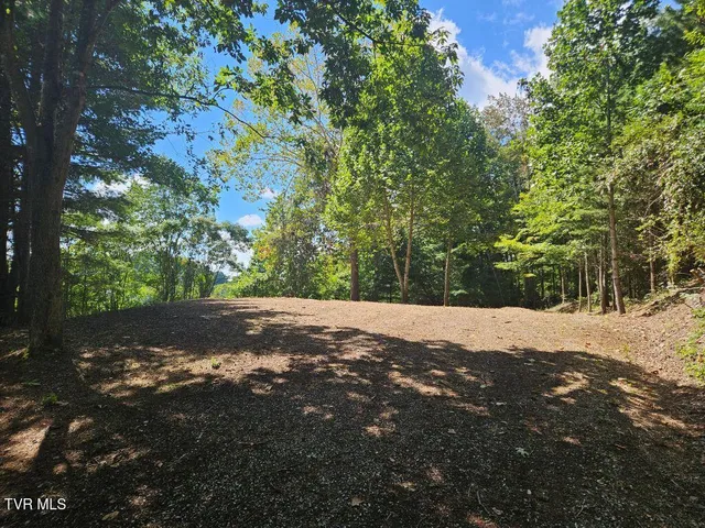 $27,000 | 110-114 Lawson Lane, Unit 110111112113114, Cedar Bluff, VA 24609