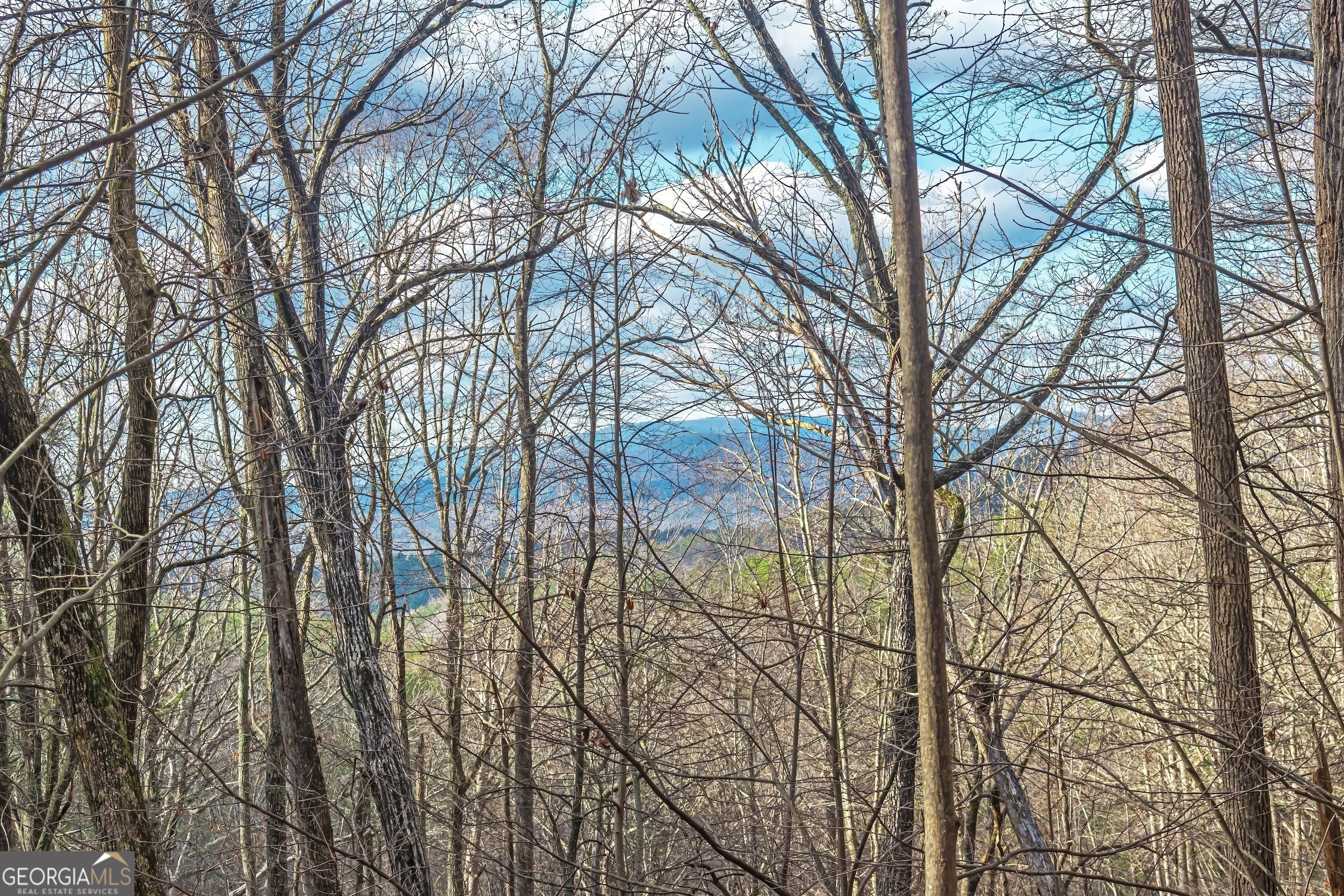 M26 Sleepy Hollow Road Ellijay, GA 30536 - Photo 1 of 1