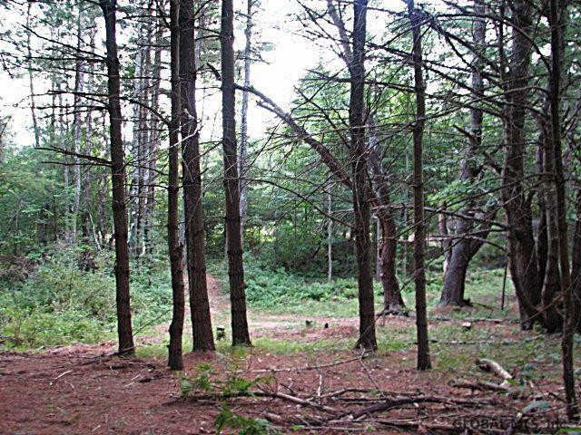 0 Camden Valley Road Shushan, NY 12873 - Photo 1 of 6 Photo 1