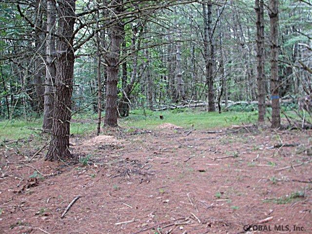0 Camden Valley Road Shushan, NY 12873 - Photo 2 of 6 Photo 2