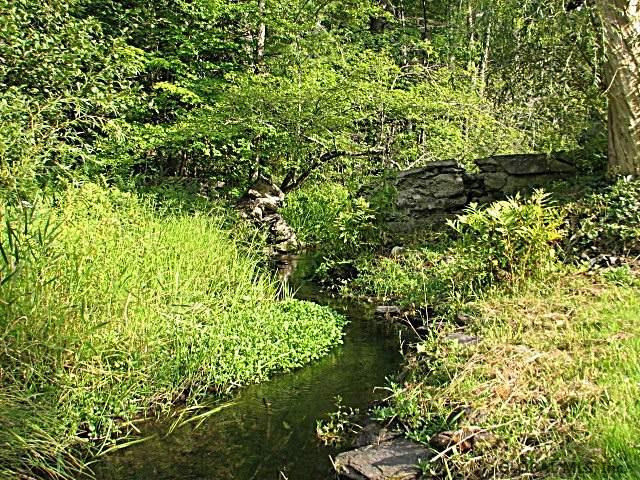 0 Camden Valley Road Shushan, NY 12873 - Photo 3 of 6 Photo 3