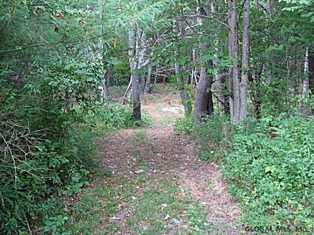0 Camden Valley Road Shushan, NY 12873 - Photo 4 of 6 Photo 4