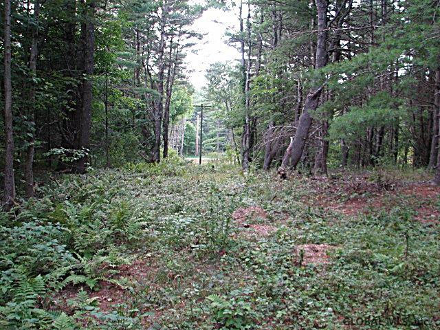 0 Camden Valley Road Shushan, NY 12873 - Photo 5 of 6 Photo 5