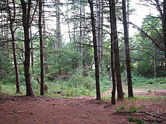 0 Camden Valley Road Shushan, NY 12873 - Photo 6 of 6 Photo 6