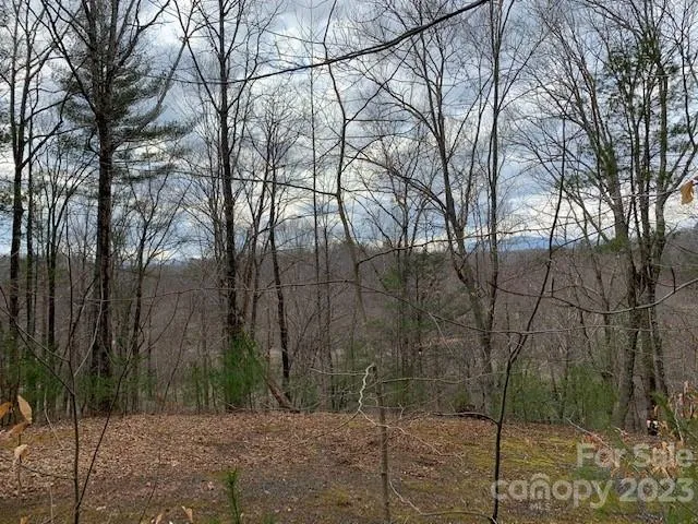 $59,000 | Lot 6 Theresa Terrace Meadows, Unit 6, Marion, NC 28752