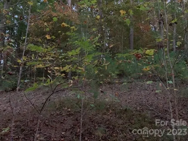 $59,000 | Lot 6 Theresa Terrace Meadows, Unit 6, Marion, NC 28752