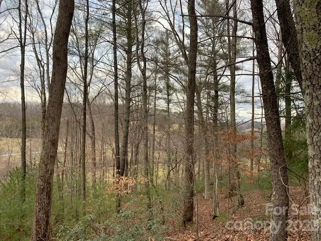 $59,000 | Lot 6 Theresa Terrace Meadows, Unit 6, Marion, NC 28752