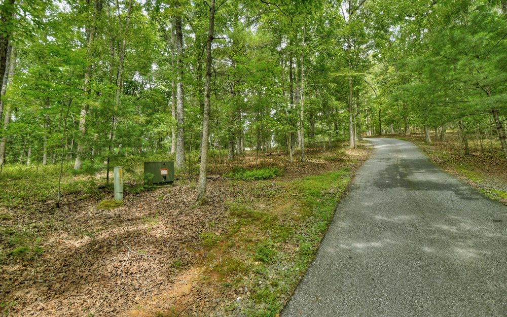 33 Cross Creek Road Mineral Bluff, GA 30559 - Photo 3 of 4 Additional View