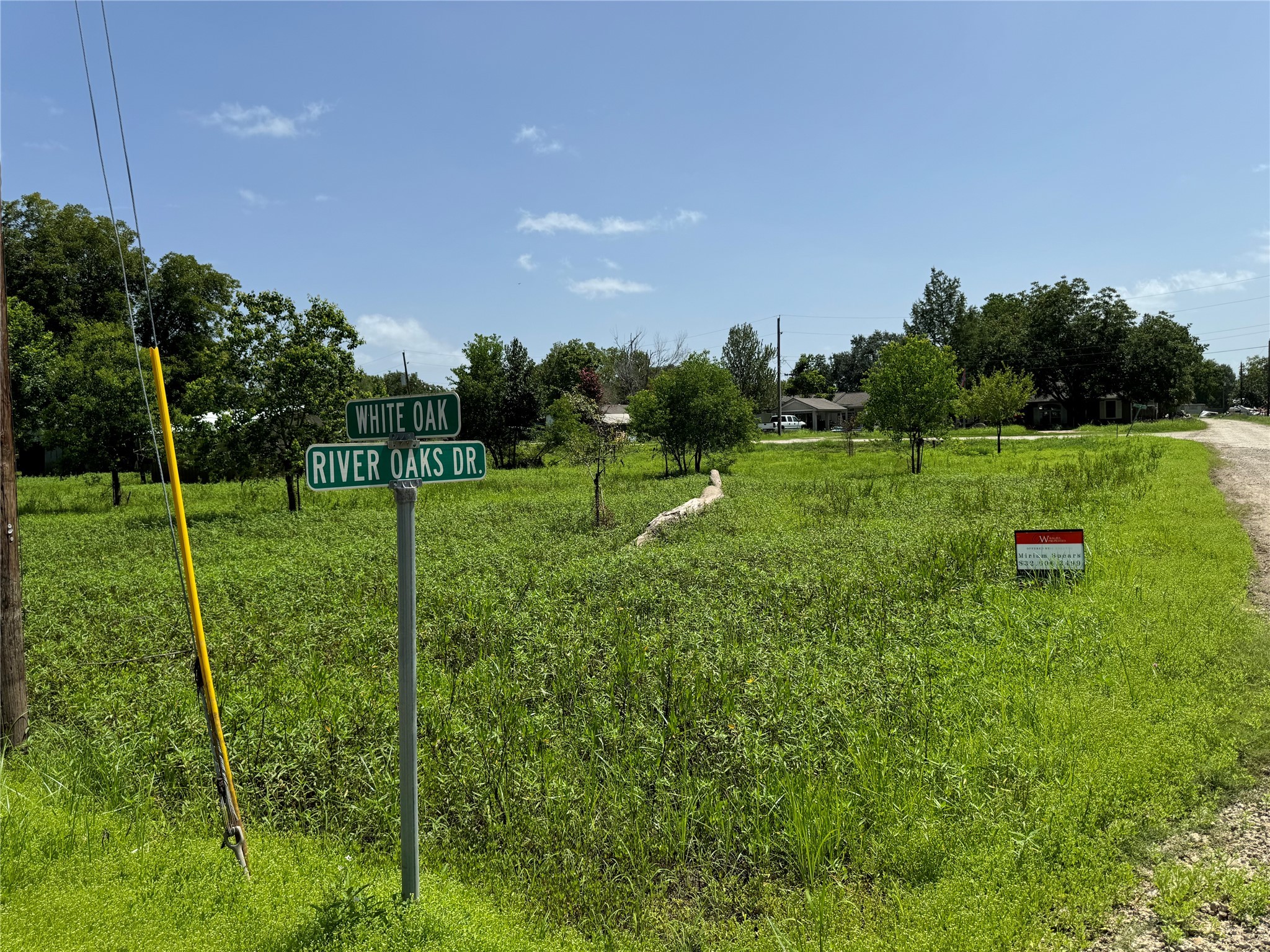 0 White Oak Drive Trinity, TX 75862 - Photo 2 of 6 a view of a park with a large trees