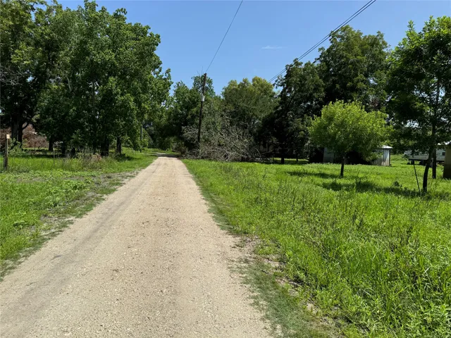 a view of a park with large trees
